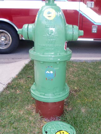 Girl Scouts - 519 S. Cornell (3)